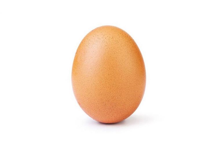 The egg photo from world_record_egg's Instagram profile.